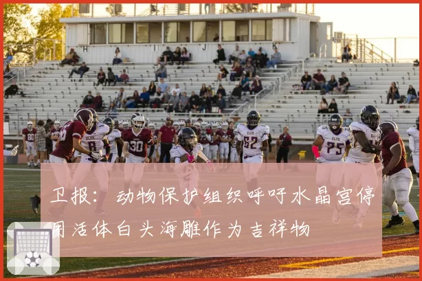 卫报：动物保护组织呼吁水晶宫停用活体白头海雕作为吉祥物