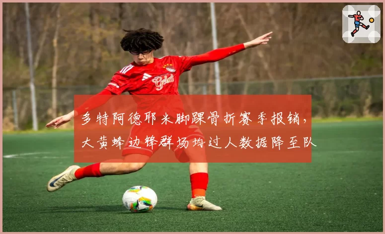 多特阿德耶米脚踝骨折赛季报销，大黄蜂边锋群场均过人数据降至队内第四