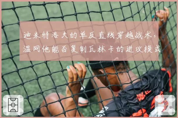 迪米特洛夫的单反直线穿越战术，温网他能否复制瓦林卡的进攻模式