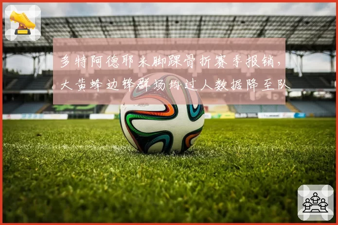多特阿德耶米脚踝骨折赛季报销，大黄蜂边锋群场均过人数据降至队内第四