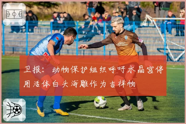 卫报：动物保护组织呼吁水晶宫停用活体白头海雕作为吉祥物
